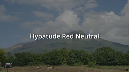 FREE NIMON ZR - Hypatude Cinema LUT Pack