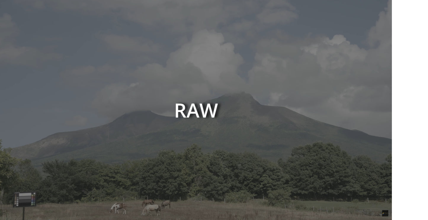 FREE NIMON ZR - Hypatude Cinema LUT Pack